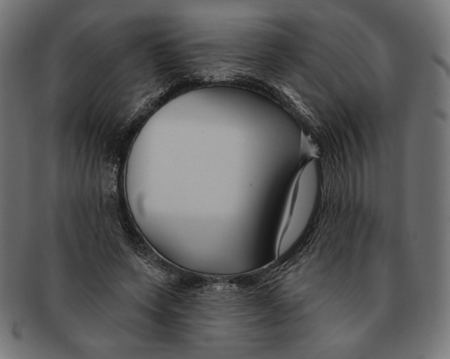 X0000091170543200709060936