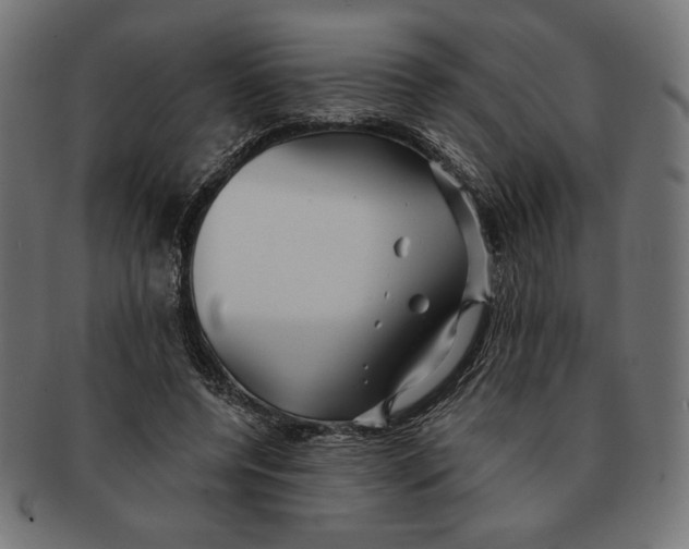 X0000091170544200709060936