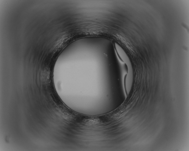 X0000091170548200709060936