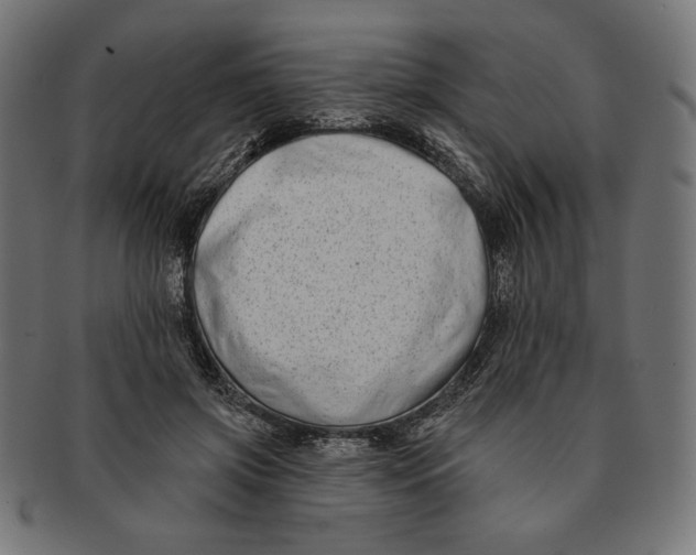 X0000091170549200709060936