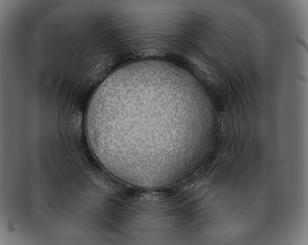 X0000091170550200709060936