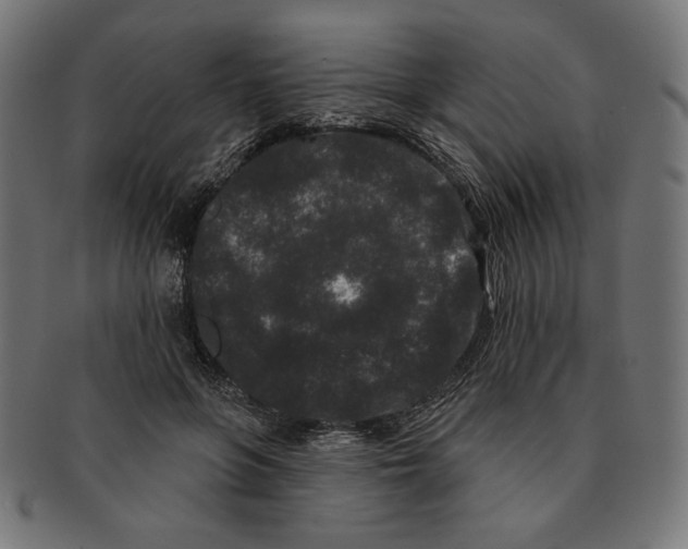 X0000091170551200709060936