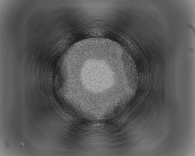 X0000091170553200709060936