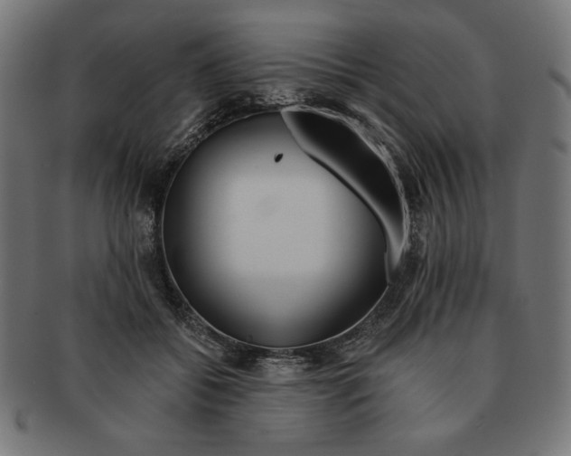 X0000091170556200709060936