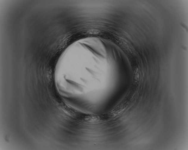 X0000091170559200709060936