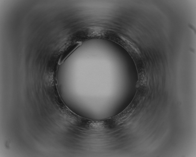 X0000091170560200709060936