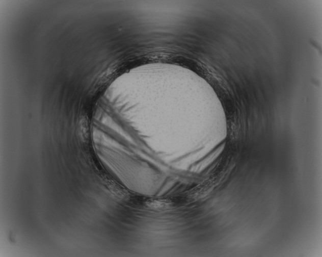 X0000091170561200709060936