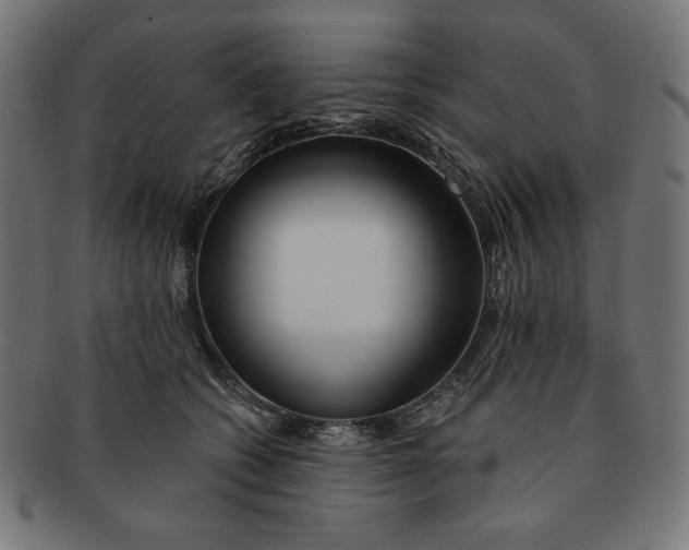 X0000091170562200709060936
