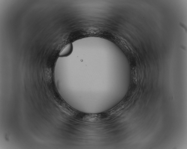 X0000091170563200709060936