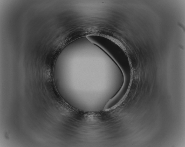 X0000091170564200709060936
