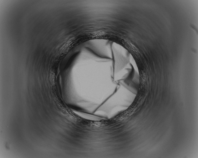 X0000091170565200709060936