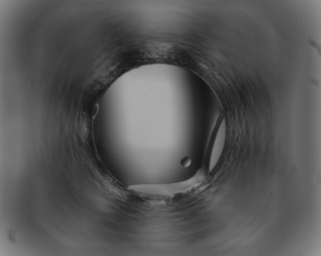 X0000091170566200709060936