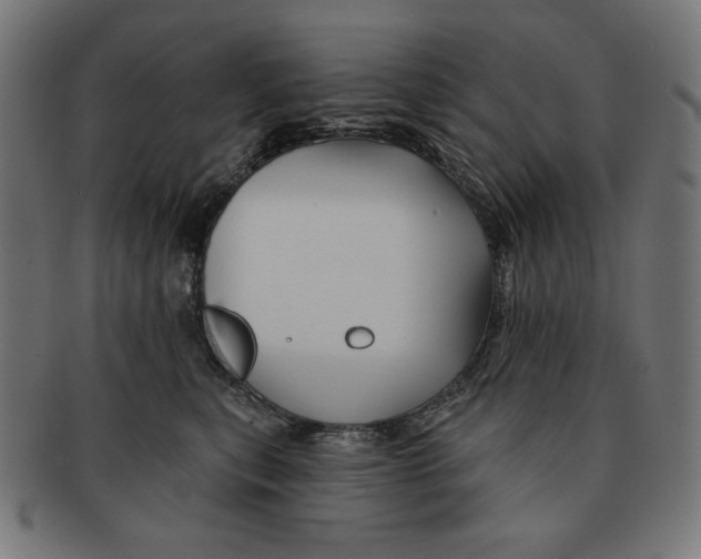 X0000091170567200709060936