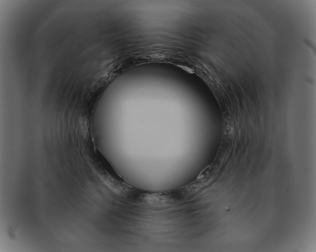 X0000091170568200709060936