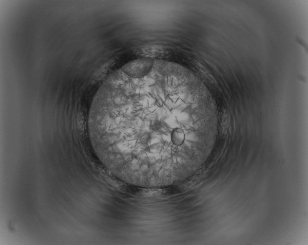 X0000091170569200709060936