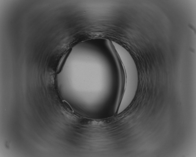 X0000091170570200709060936