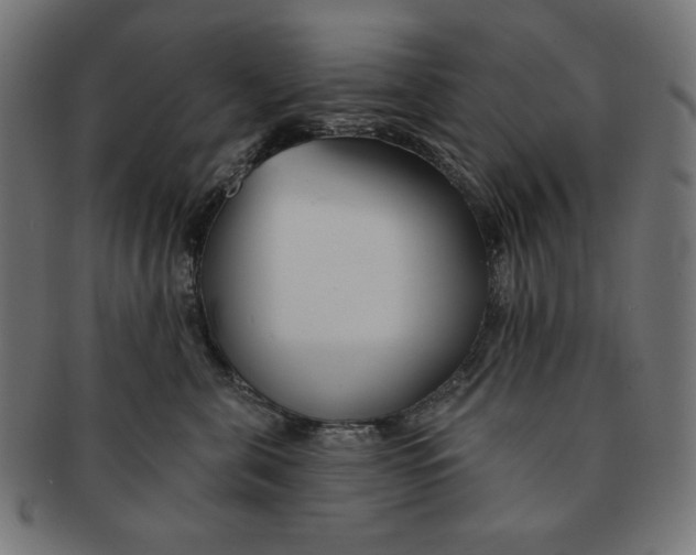 X0000091170571200709060936