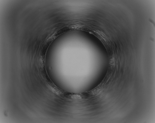 X0000091170572200709060936
