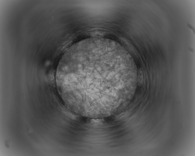 X0000091170573200709060936