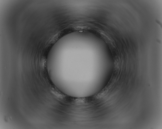 X0000091170574200709060936