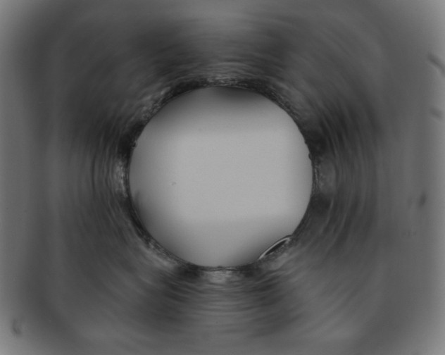 X0000091170575200709060936