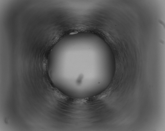 X0000091170576200709060936