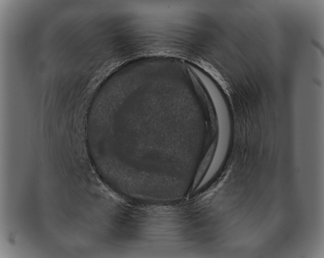 X0000091170577200709060935