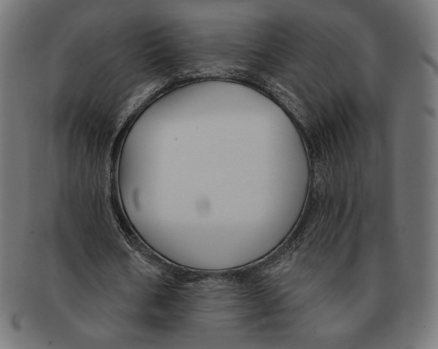 X0000091170578200709060935