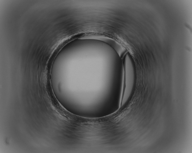 X0000091170580200709060935