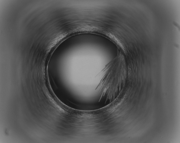 X0000091170581200709060935