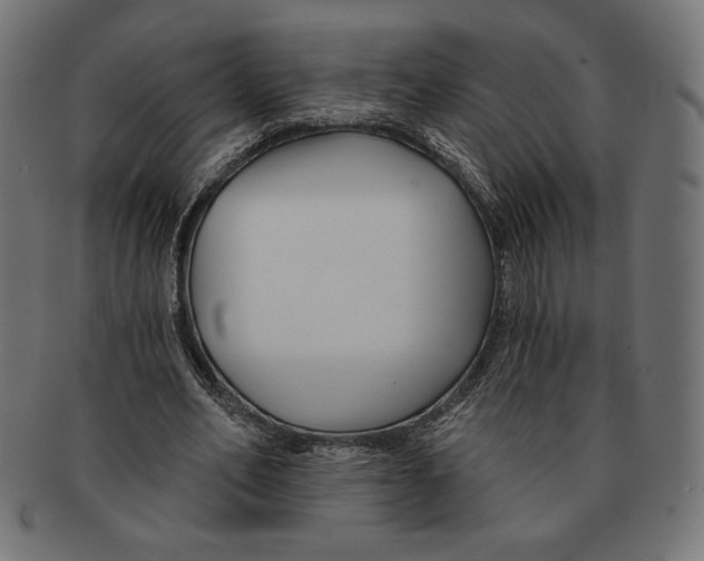 X0000091170582200709060935