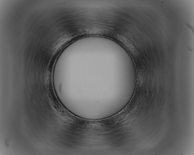X0000091170583200709060935