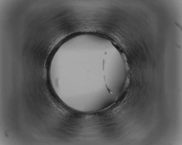 X0000091170584200709060935