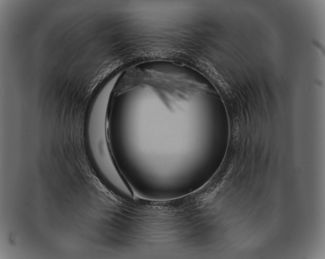 X0000091170585200709060935
