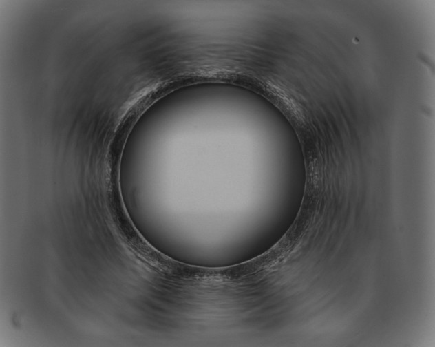 X0000091170587200709060935