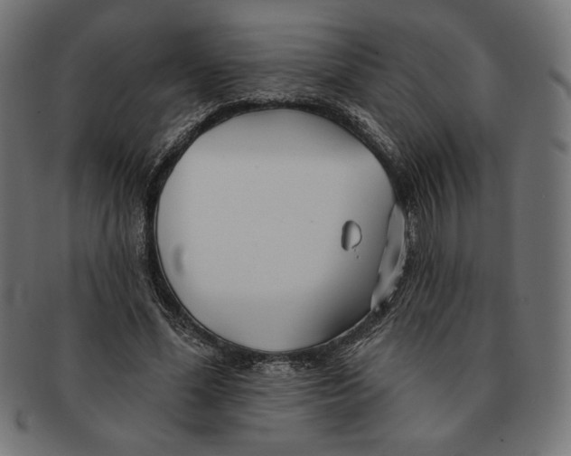 X0000091170588200709060935