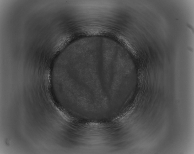 X0000091170590200709060935