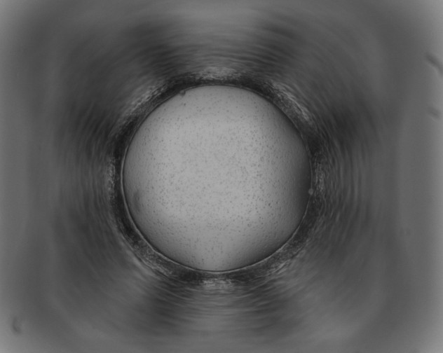 X0000091170591200709060935