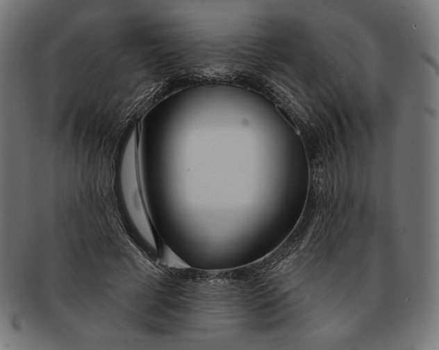 X0000091170593200709060935
