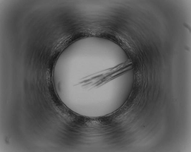 X0000091170594200709060935