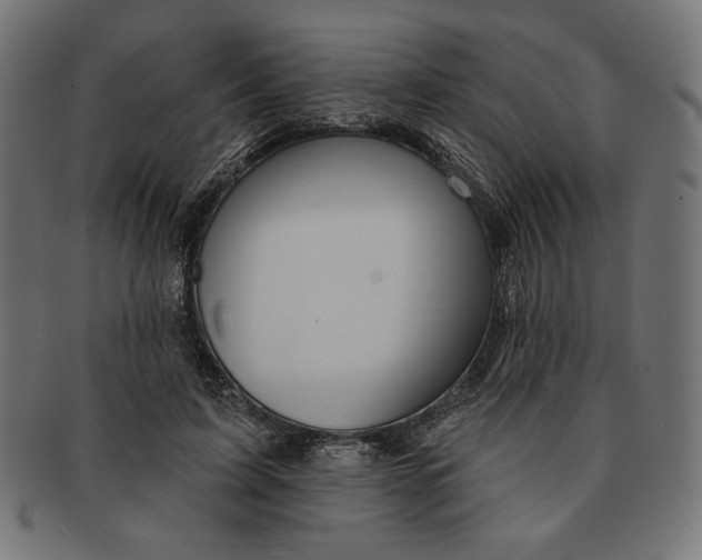 X0000091170595200709060935