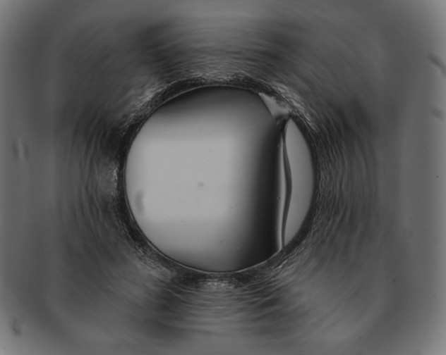 X0000091170596200709060935