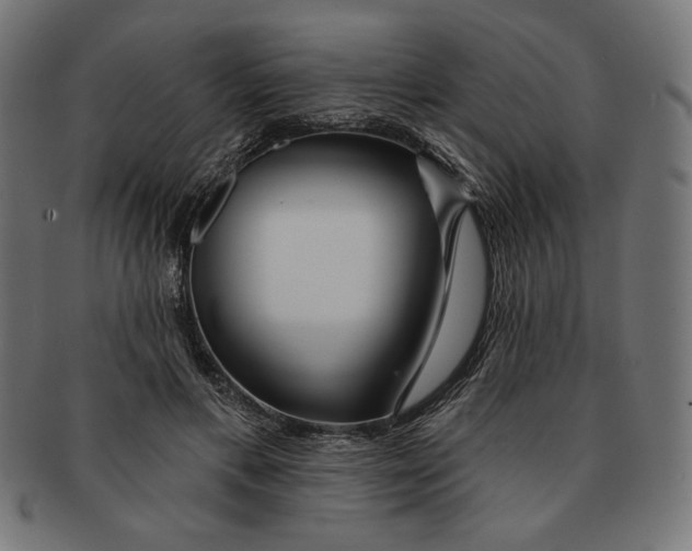 X0000091170597200709060935