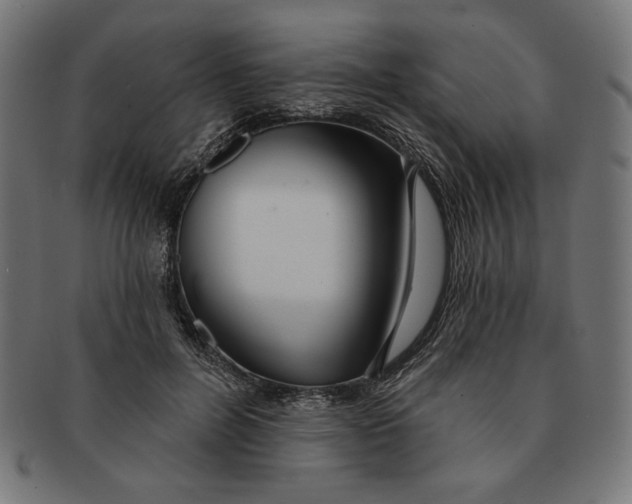 X0000091170600200709060935