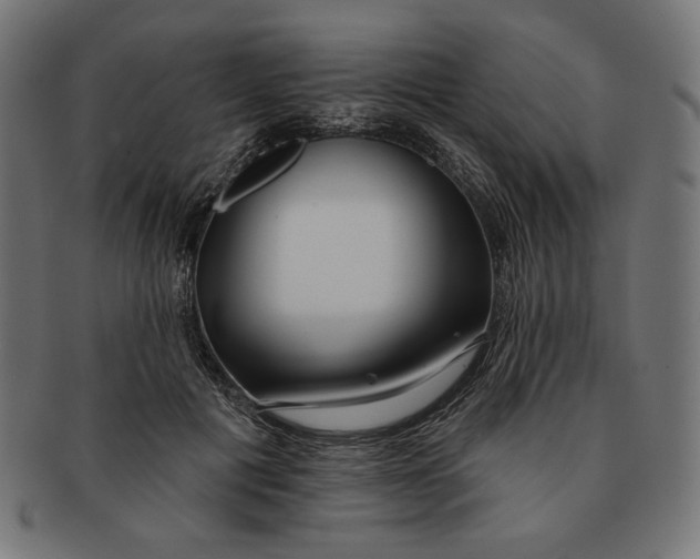 X0000091170601200709060935
