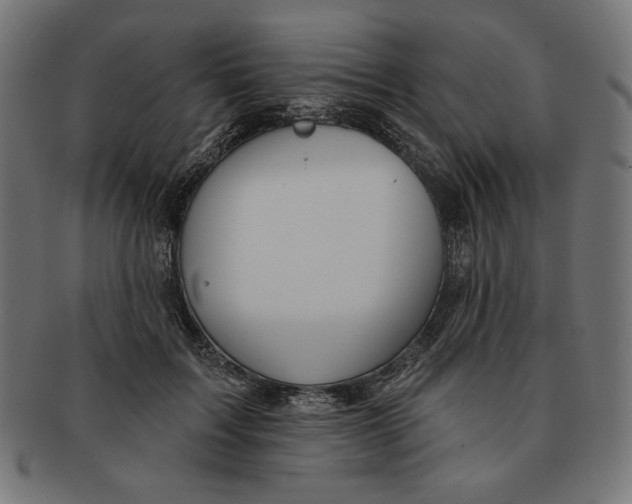 X0000091170603200709060935