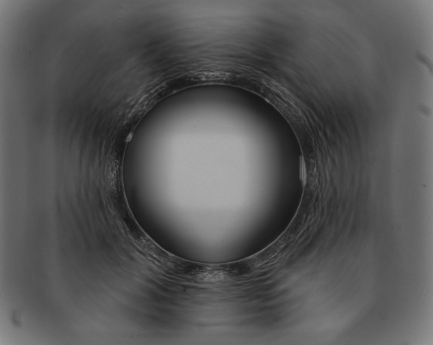 X0000091170604200709060935