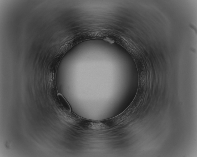 X0000091170605200709060935