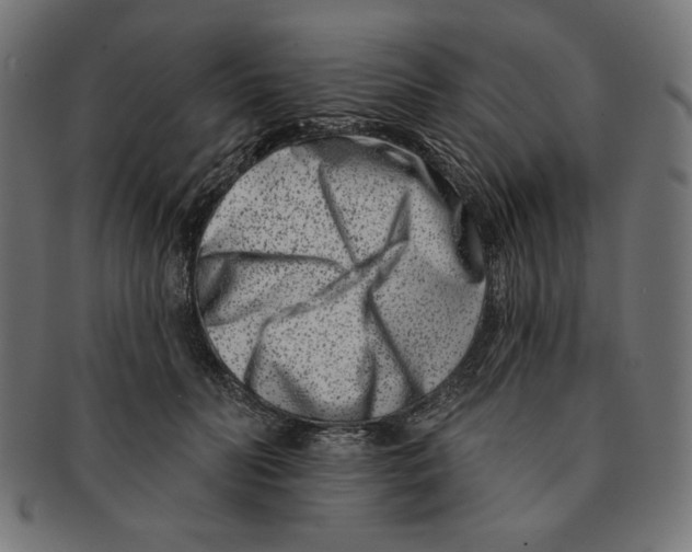 X0000091170606200709060935