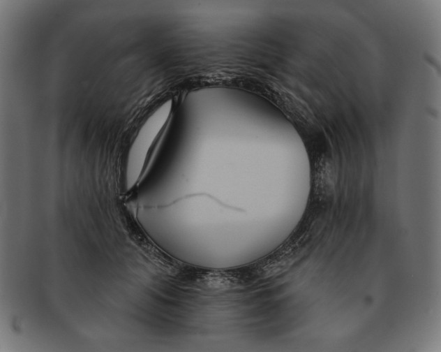 X0000091170608200709060935